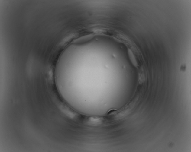 X0000094930573200712131540