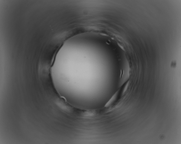 X0000094930574200712131540