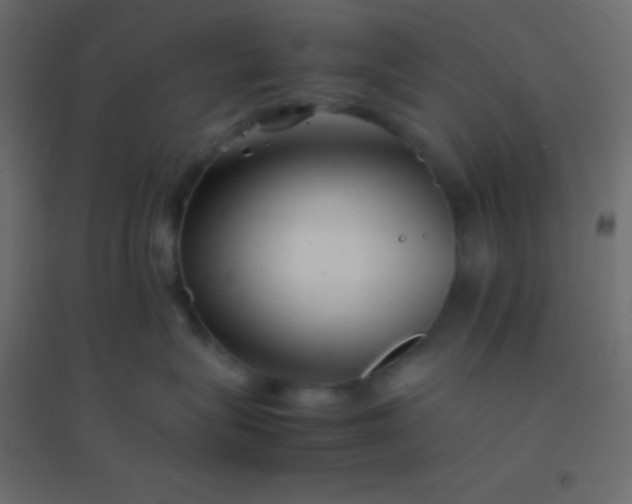 X0000094930575200712131540