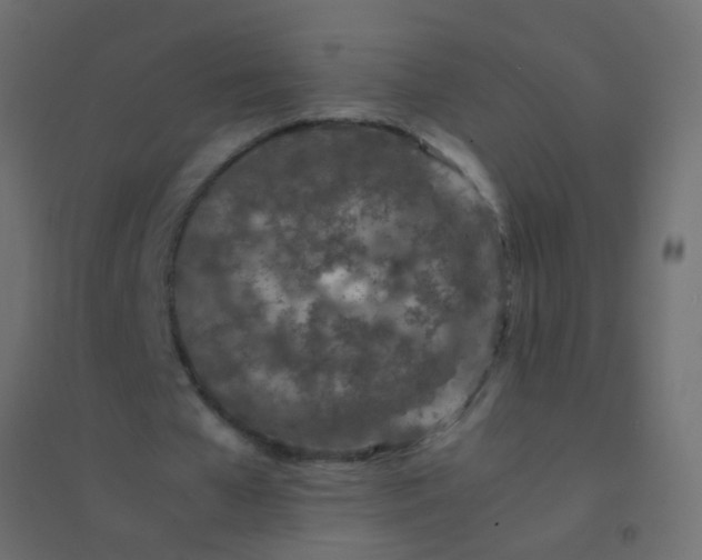 X0000094930577200712131539