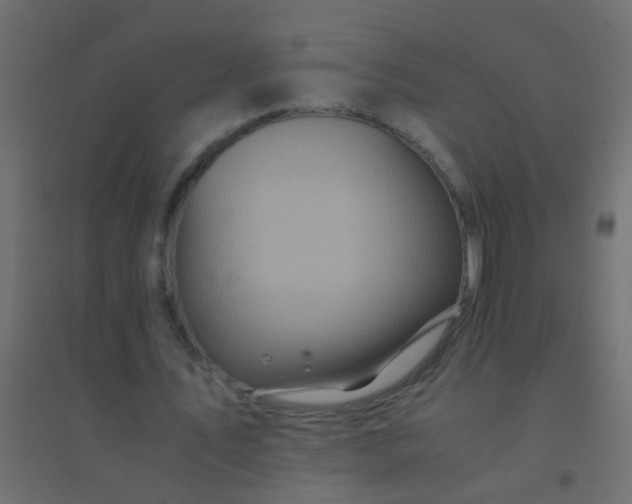 X0000094930579200712131539
