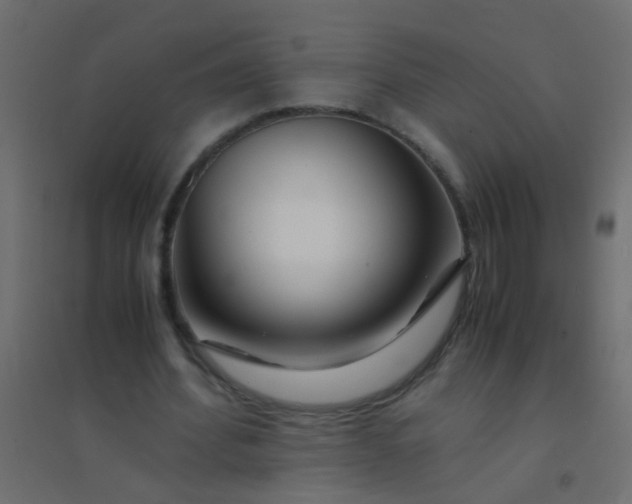 X0000094930580200712131539
