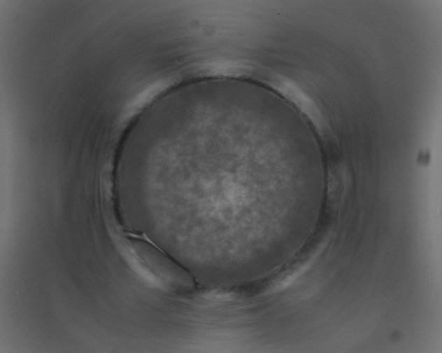 X0000094930581200712131539