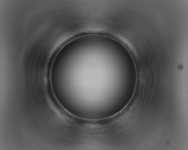 X0000094930582200712131539