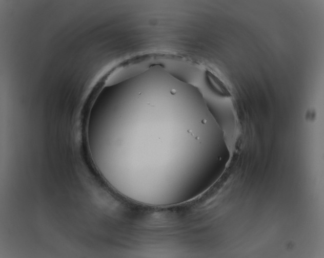 X0000094930584200712131539