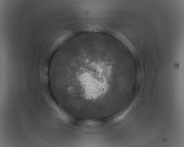 X0000094930585200712131539