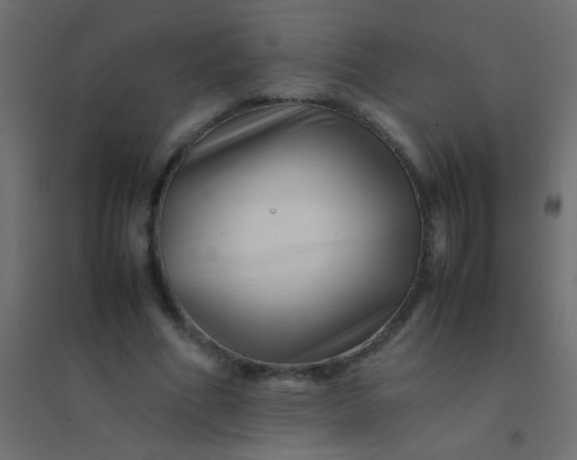 X0000094930586200712131539
