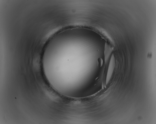 X0000094930588200712131539