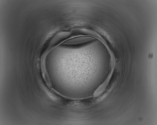 X0000094930589200712131539