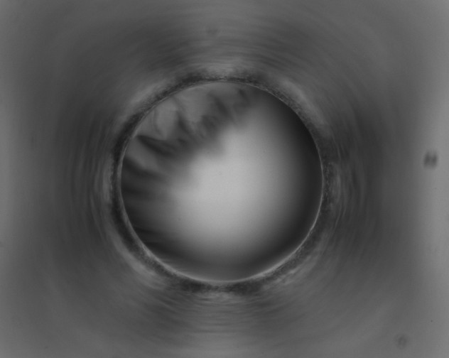 X0000094930590200712131539