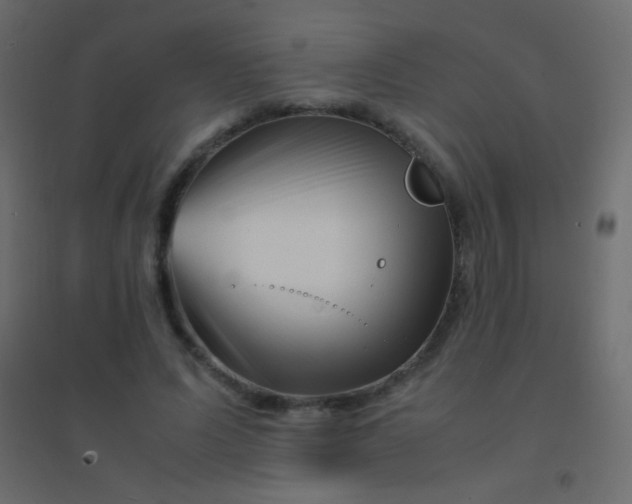 X0000094930591200712131539