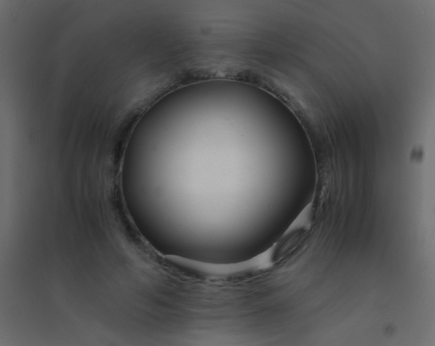 X0000094930594200712131539