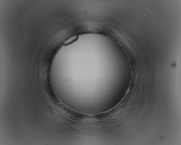 X0000094930595200712131539