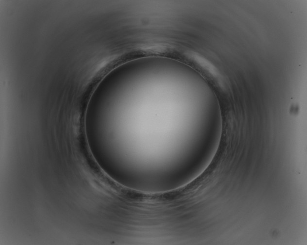 X0000094930596200712131539