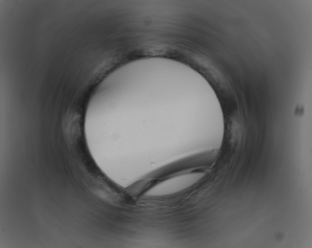 X0000094930598200712131539