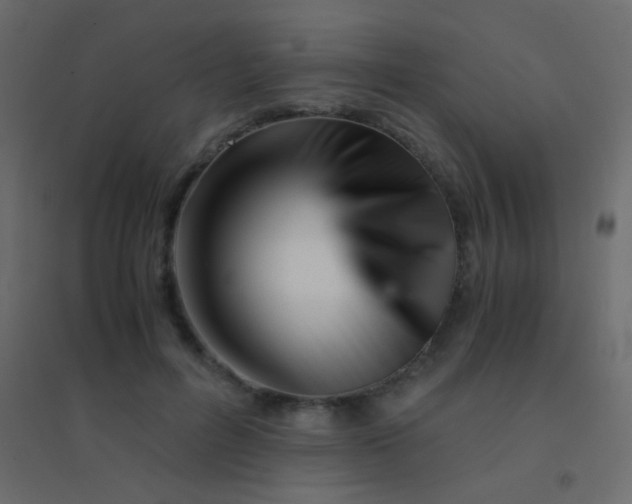 X0000094930600200712131539