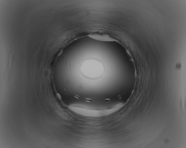 X0000094930601200712131539