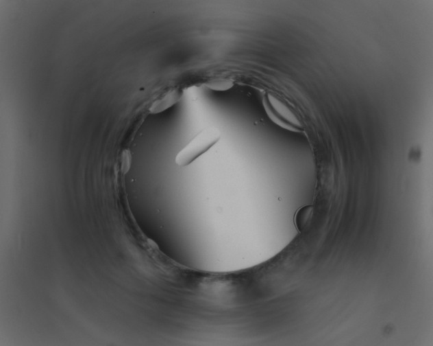 X0000094930602200712131539