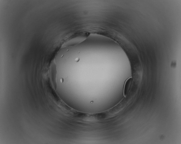 X0000094930604200712131539