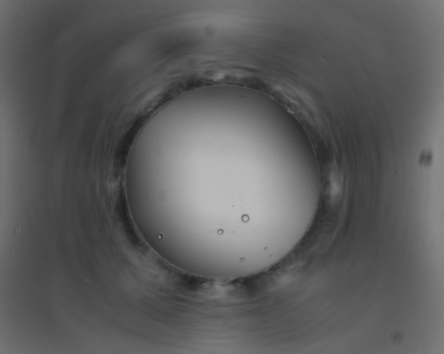 X0000094930607200712131539