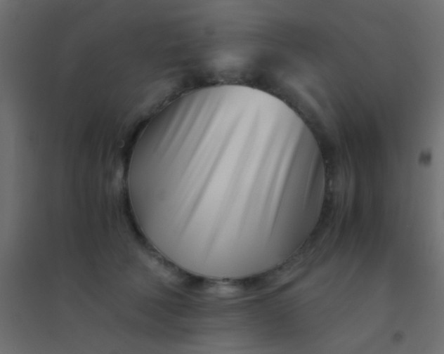 X0000094930610200712131539