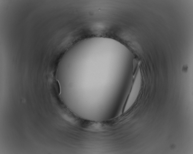 X0000094930611200712131539