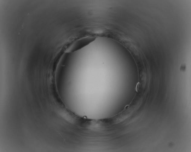 X0000094930612200712131539