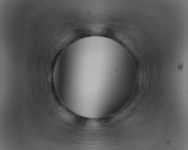 X0000094930613200712131539