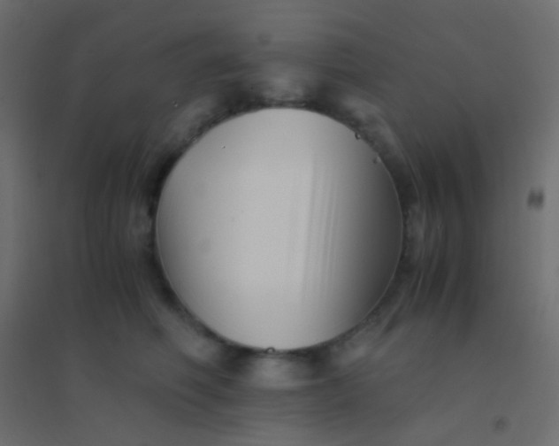 X0000094930614200712131539