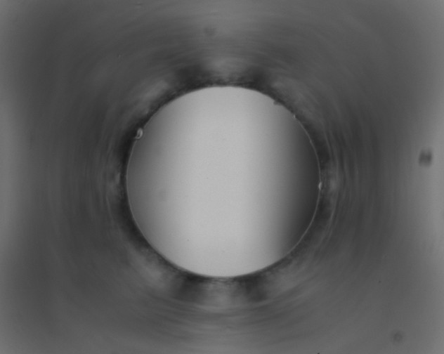 X0000094930615200712131539