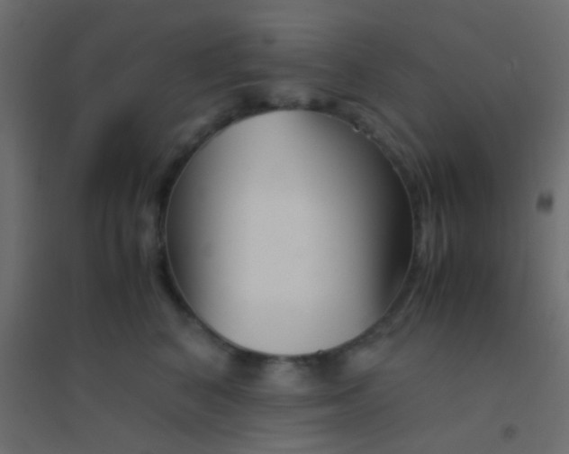 X0000094930616200712131539