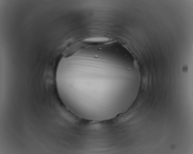 X0000094930620200712131539
