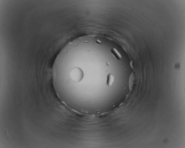 X0000094930621200712131539