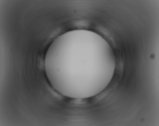 X0000094930622200712131539