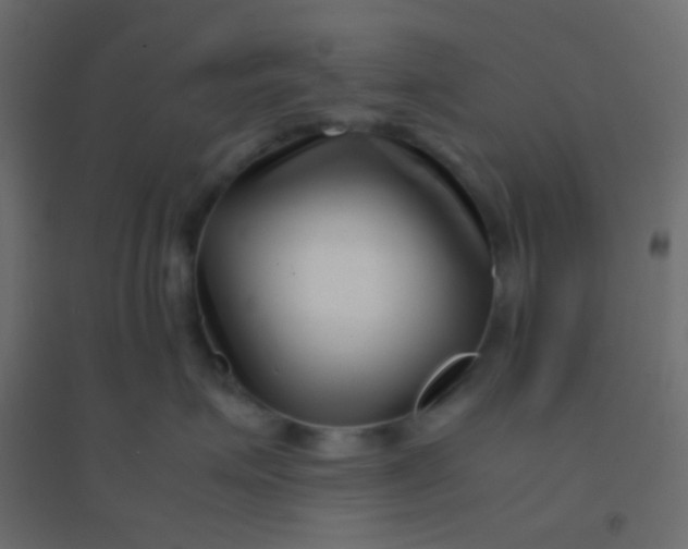 X0000094930623200712131539