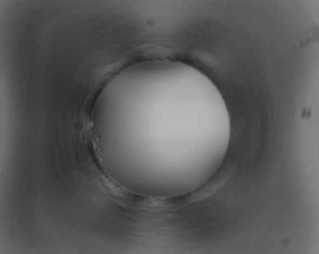 X0000094930624200712131539