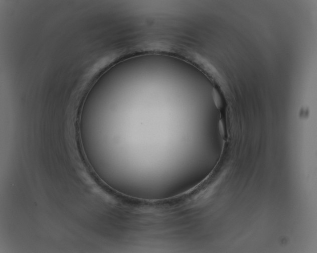 X0000094930625200712131538