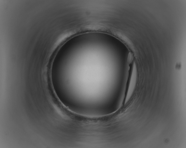 X0000094930626200712131538