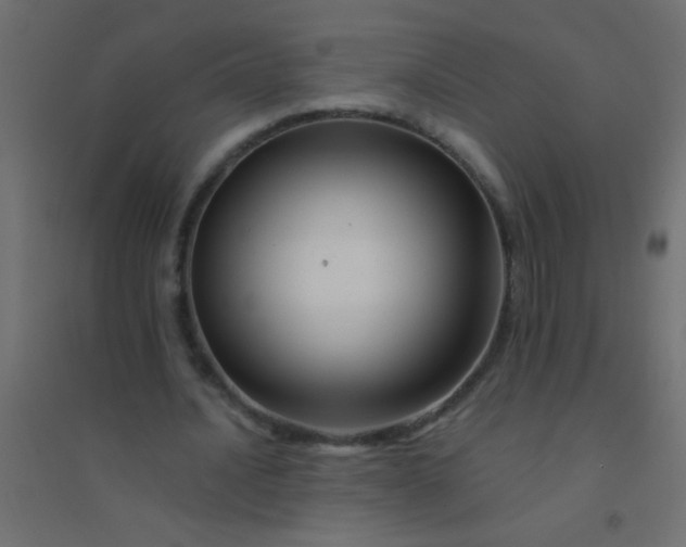 X0000094930628200712131538
