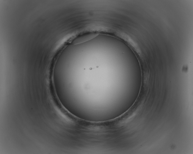 X0000094930629200712131538