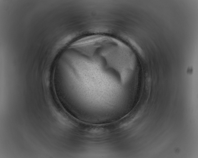 X0000094930631200712131538