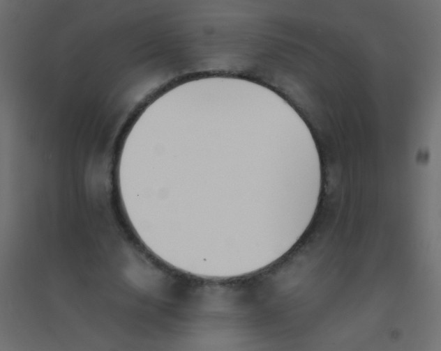X0000094930632200712131538