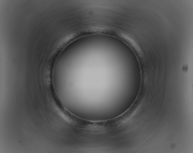 X0000094930633200712131538