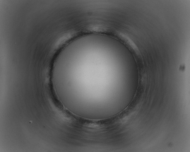 X0000094930635200712131538