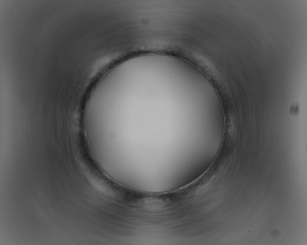 X0000094930636200712131538
