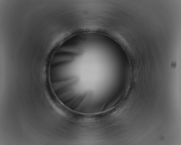 X0000094930638200712131538