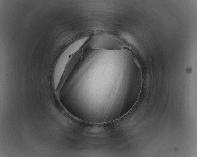 X0000094930639200712131538