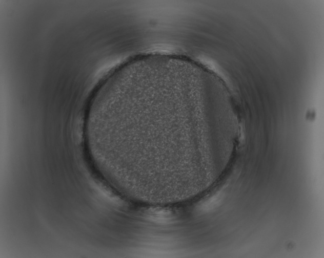 X0000094930640200712131538