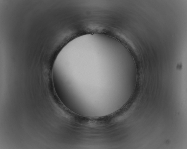 X0000094930641200712131538