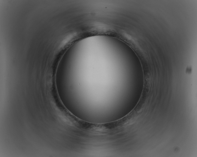 X0000094930642200712131538
